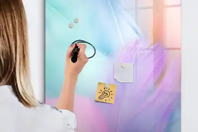 Magnetinė sauso valymo lenta pastelinės plunksnos