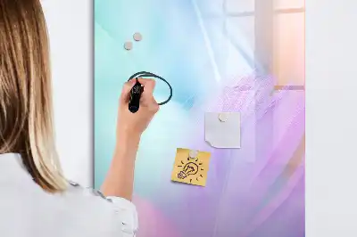 Magnetinė sauso valymo lenta pastelinės plunksnos