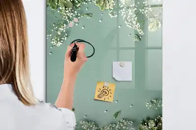 Magnetinė sauso valymo lenta gipsofilija