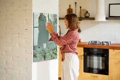 Magnetinė sauso valymo lenta gipsofilija
