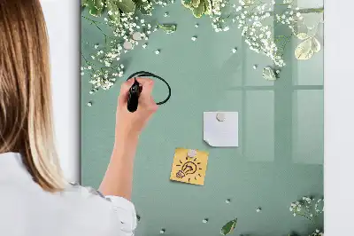 Magnetinė sauso valymo lenta gipsofilija