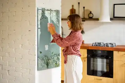Magnetinė sauso valymo lenta gipsofilija