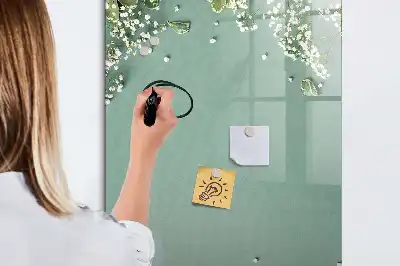 Magnetinė sauso valymo lenta gipsofilija