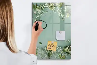 Magnetinė sauso valymo lenta gipsofilija