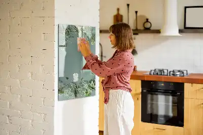 Magnetinė sauso valymo lenta gipsofilija