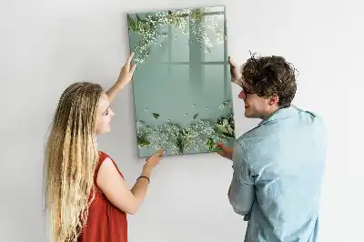 Magnetinė sauso valymo lenta gipsofilija