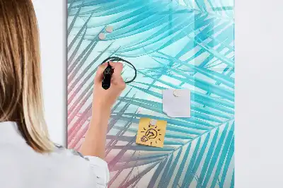 Magnetinė sauso valymo lenta palmės lapų rašto
