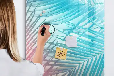 Magnetinė sauso valymo lenta palmės lapų rašto