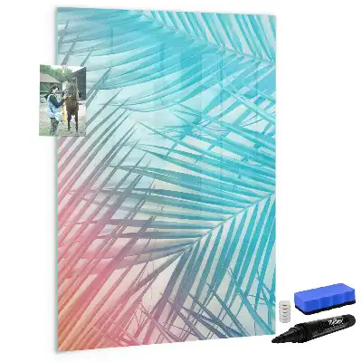 Magnetinė sauso valymo lenta palmės lapų rašto