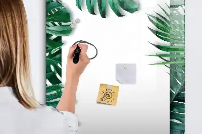 Magnetinė sauso valymo lenta su monsteros rėmeliu