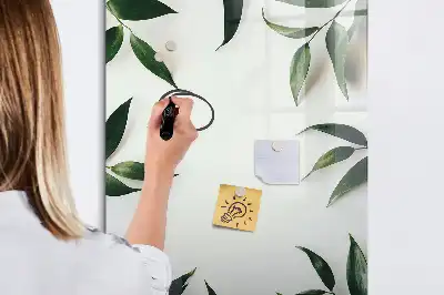 Magnetinė sauso valymo lenta su žalių lapų rėmeliu