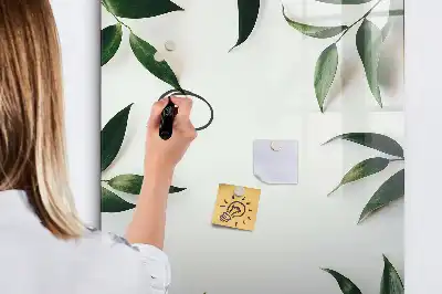 Magnetinė sauso valymo lenta su žalių lapų rėmeliu
