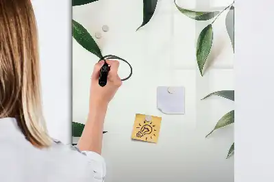 Magnetinė sauso valymo lenta su žalių lapų rėmeliu