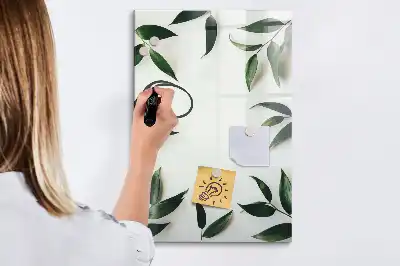 Magnetinė sauso valymo lenta su žalių lapų rėmeliu