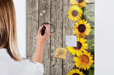 Magnetinė sauso valymo lenta saulėgrąžos ant medžio