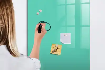 Magnetinė sauso valymo lenta turkio spalvos