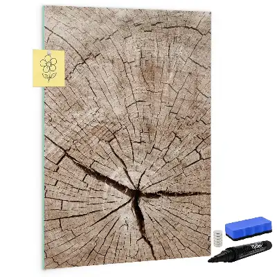 Magnetinė lenta sauso valymo medžio kamieno skerspjūvio dizaino