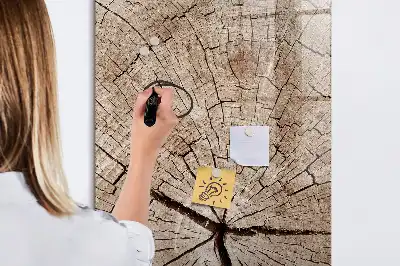 Sauso valymo magnetinė lenta Medžio kamieno skerspjūvis