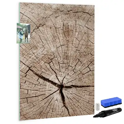 Sauso valymo magnetinė lenta Medžio kamieno skerspjūvis