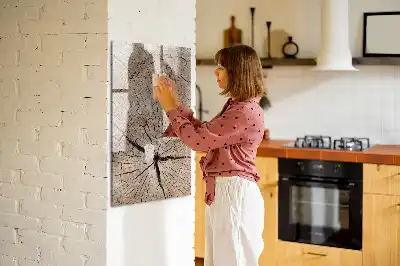 Sauso valymo magnetinė lenta Medžio kamieno skerspjūvis