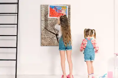 Sauso valymo magnetinė lenta Medžio kamieno skerspjūvis