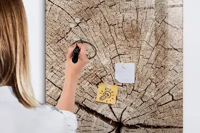 Sauso valymo magnetinė lenta Medžio kamieno skerspjūvis