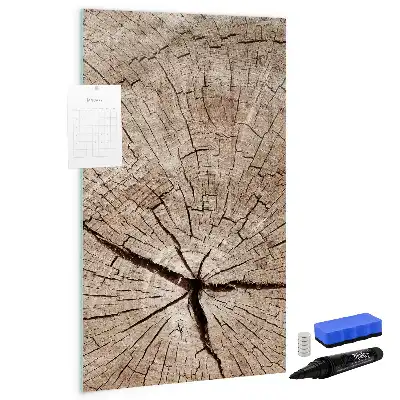 Sauso valymo magnetinė lenta Medžio kamieno skerspjūvis