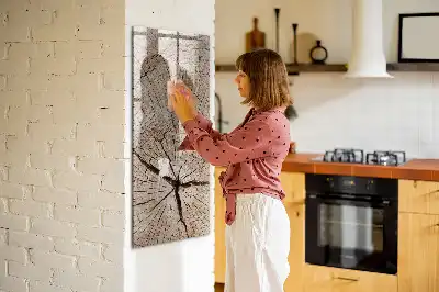 Sauso valymo magnetinė lenta Medžio kamieno skerspjūvis