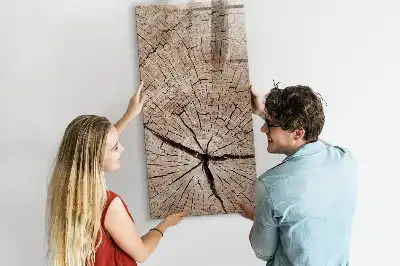 Sauso valymo magnetinė lenta Medžio kamieno skerspjūvis