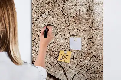 Sauso valymo magnetinė lenta Medžio kamieno skerspjūvis