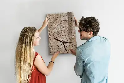 Sauso valymo magnetinė lenta Medžio kamieno skerspjūvis