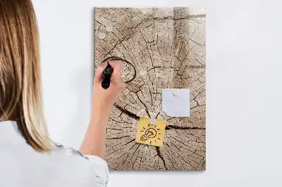 Sauso valymo magnetinė lenta Medžio kamieno skerspjūvis