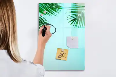 Magnetinė sauso valymo lenta palmės lapų rašto