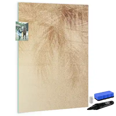 Magnetinė sauso valymo lenta palmės lapų šešėlio rašto