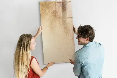 Magnetinė sauso valymo lenta palmės lapų šešėlio rašto