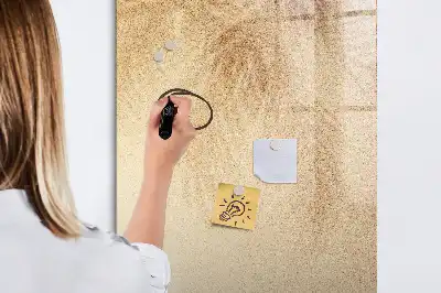 Magnetinė sauso valymo lenta palmės lapų šešėlio rašto