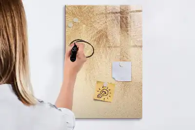 Magnetinė sauso valymo lenta palmės lapų šešėlio rašto