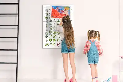 Magnetinė sauso valymo lenta su žalios spalvos daržovių piešiniu