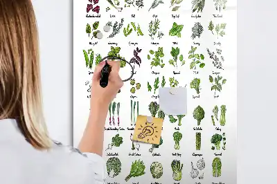 Magnetinė sauso valymo lenta su žalios spalvos daržovių piešiniu