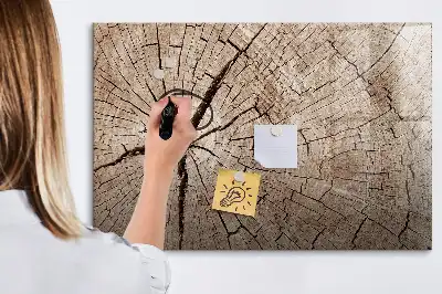 Magnetinė rašymo lenta Senas medžio kamienas