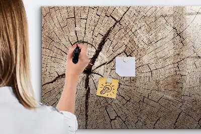 Magnetinė rašymo lenta Senas medžio kamienas