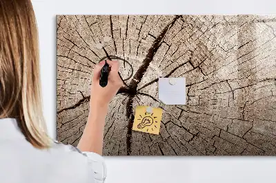 Magnetinė rašymo lenta Senas medžio kamienas