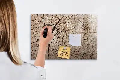 Magnetinė rašymo lenta Senas medžio kamienas