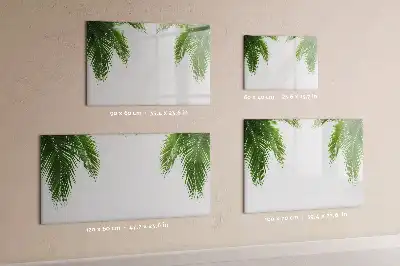 Magnetinė piešimo lenta palmės lapų dizaino
