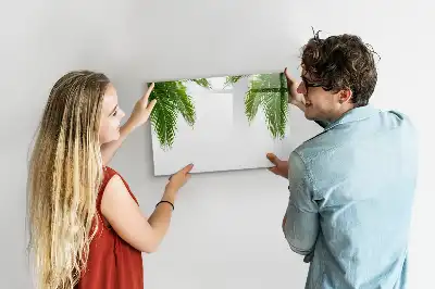 Magnetinė piešimo lenta palmės lapų dizaino