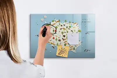 Magnetinė rašymo lenta su Lenkijos gyvūnų žemėlapiu