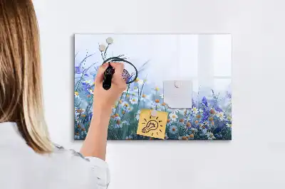 Magnetinė rašymo lenta Drugelis pievoje