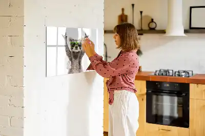 Magnetinė piešimo lenta Sukulenti su akiniais