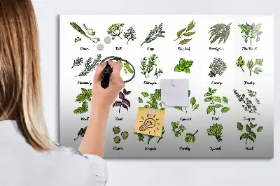 Magnetinė piešimo lenta su medžių rūšių atvaizdais