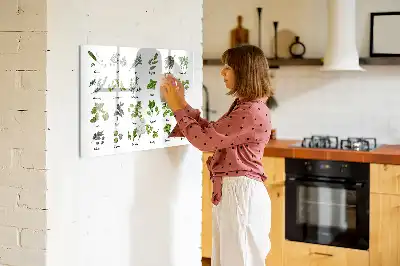 Magnetinė piešimo lenta su medžių rūšių atvaizdais